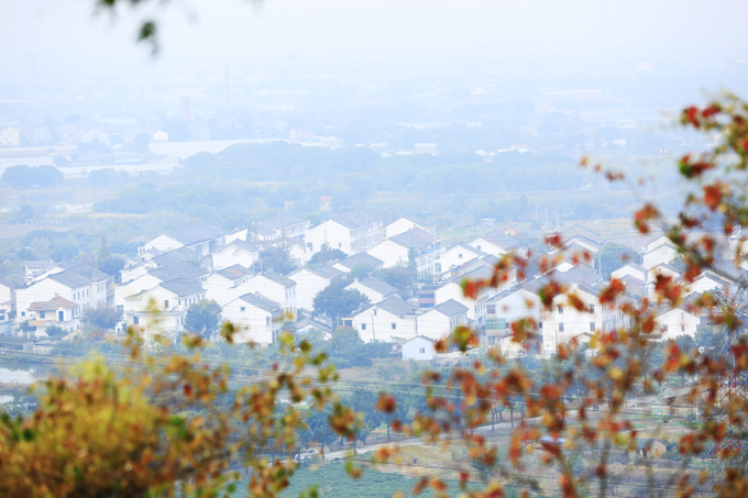 魅力新農村(華妍芳攝影).JPG