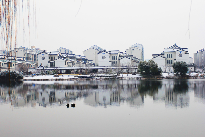 江南雪景(王云平攝影).JPG