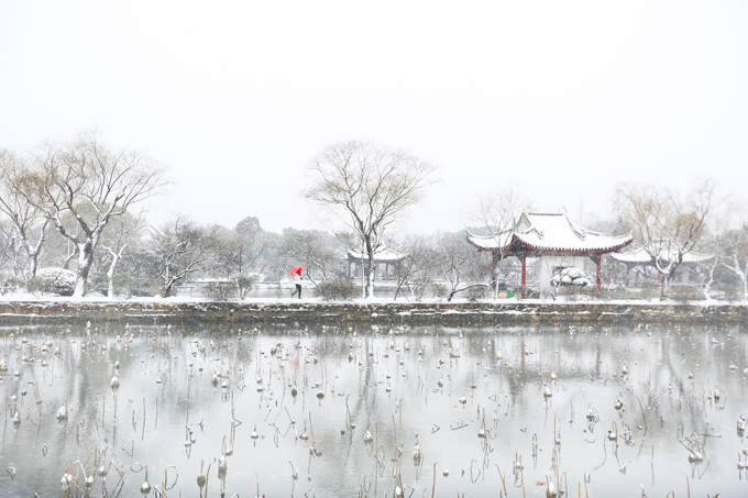 江南雪韻(金衛國攝影).JPG