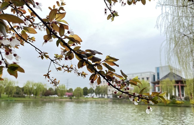 劉天泉-波光粼粼.jpg