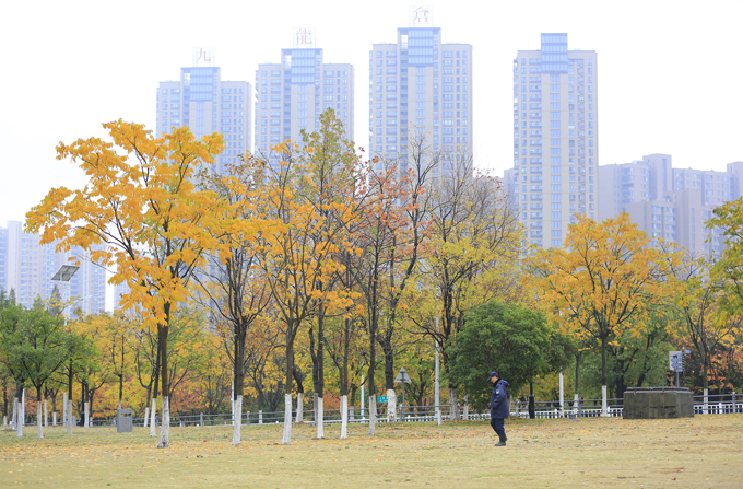 城市秋色(金衛國攝影).JPG